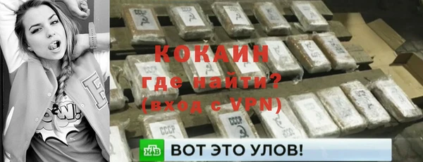 винт Абаза