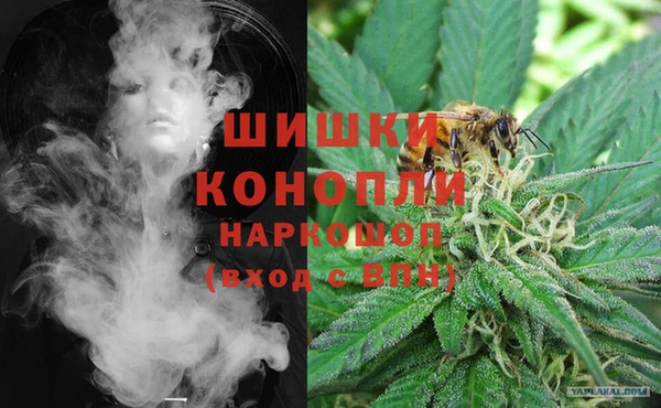 стаф Абинск