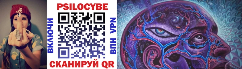 MEGA как зайти  Тырныауз  Галлюциногенные грибы Cubensis 